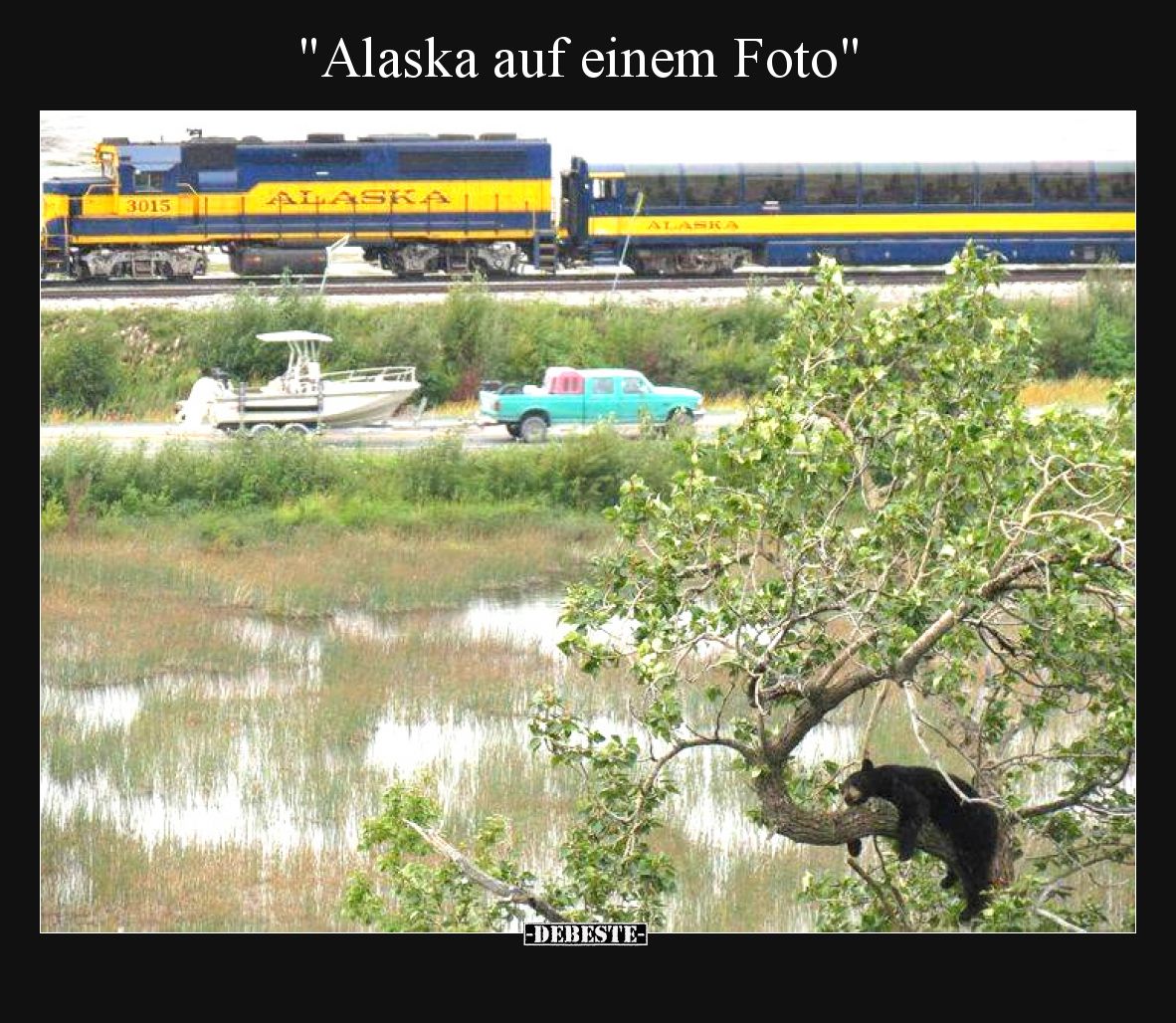 Alaska auf einem Foto