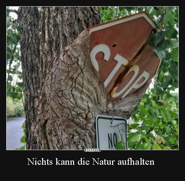 Nichts kann die Natur aufhalten.. - Lustige Bilder | DEBESTE.de