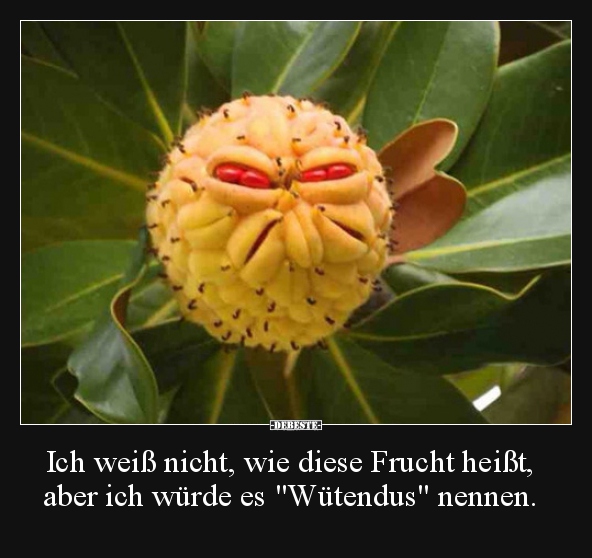 Ich weiß nicht, wie diese Frucht heißt, aber ich würde es.. - Lustige Bilder | DEBESTE.de