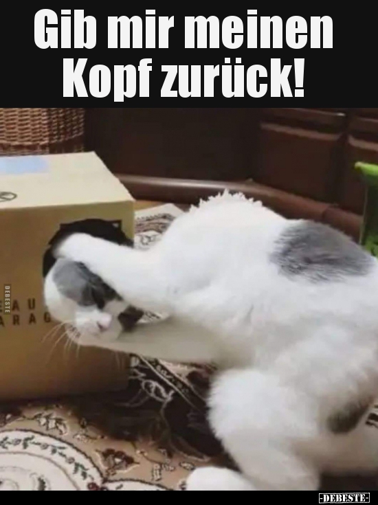 Gib mir meinen Kopf zurück!..