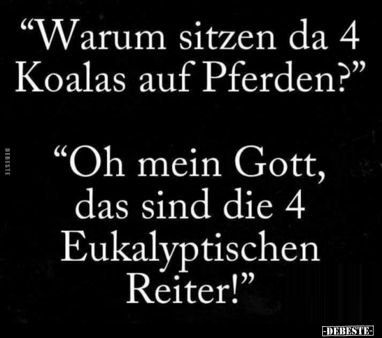 "Warum sitzen da 4 Koalas auf Pferden?"