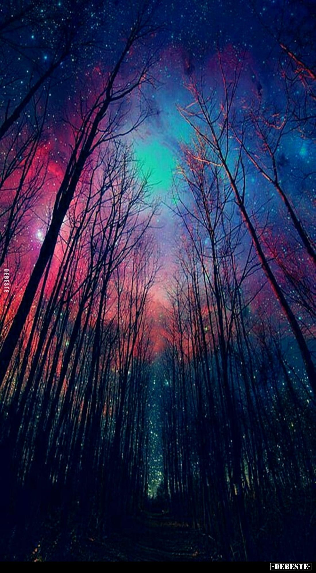 Wow!.. - Lustige Bilder | DEBESTE.de