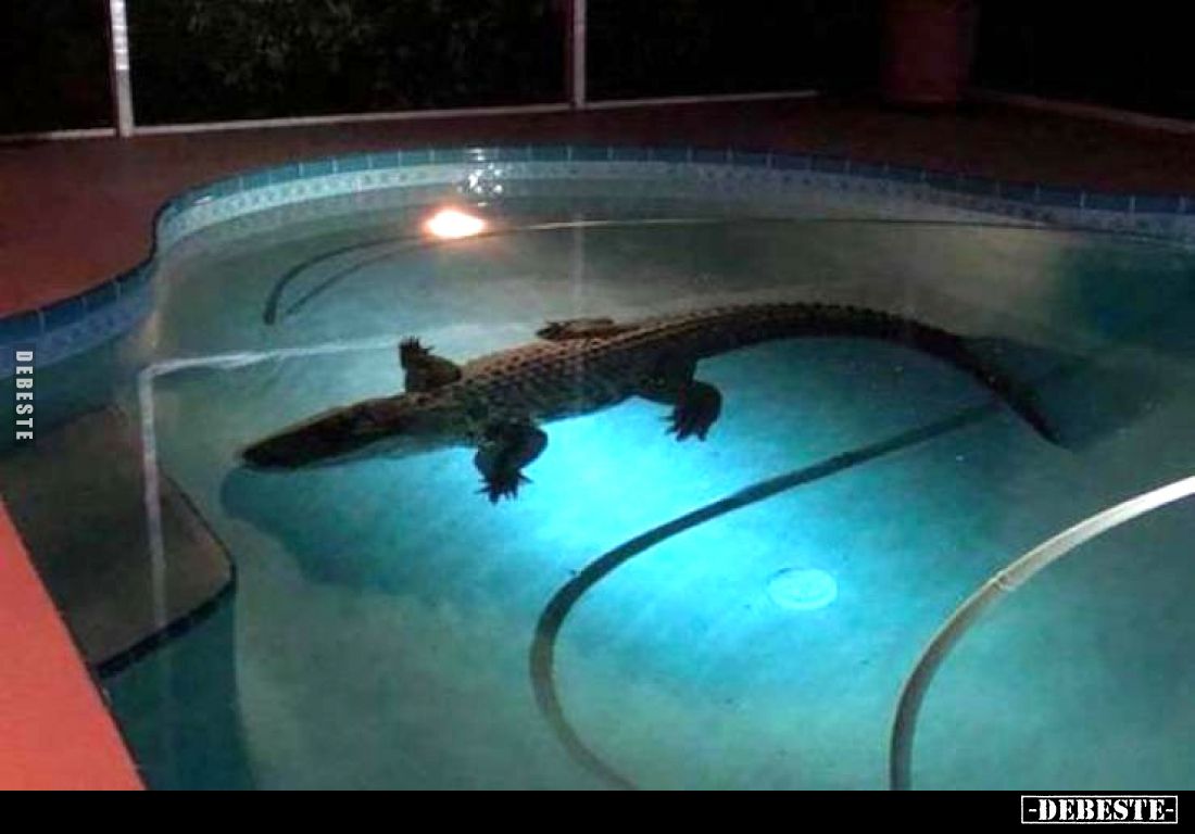  - Lustige Bilder | DEBESTE.de