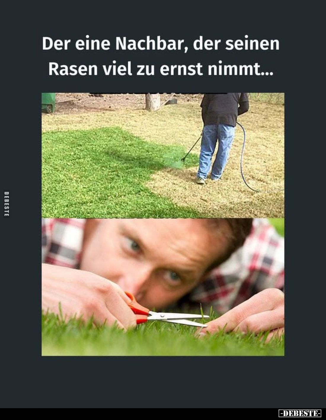 Der eine Nachbar, der seinen Rasen viel zu ernst nimmt...