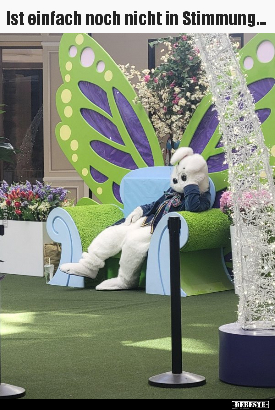 Ist einfach noch nicht in Stimmung...