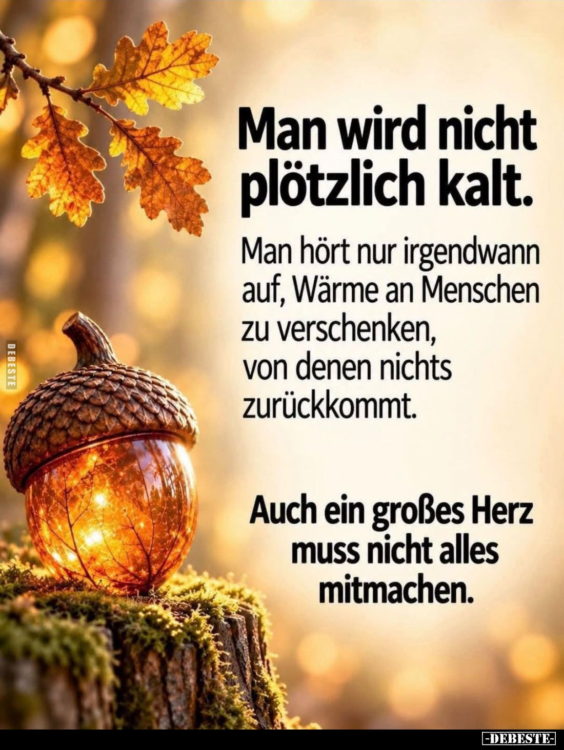 Man wird nicht plötzlich kalt.
Man hört nur irgendwann auf, Wärme an Menschen zu verschenken, von denen nichts zurückkommt...