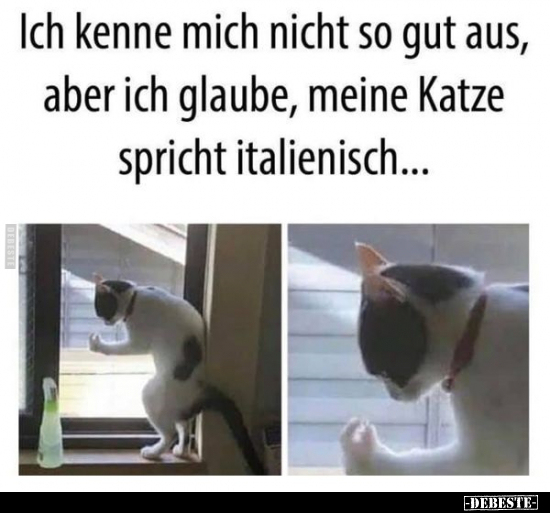 Ich kenne mich nicht so gut aus, aber ich glaube, meine..