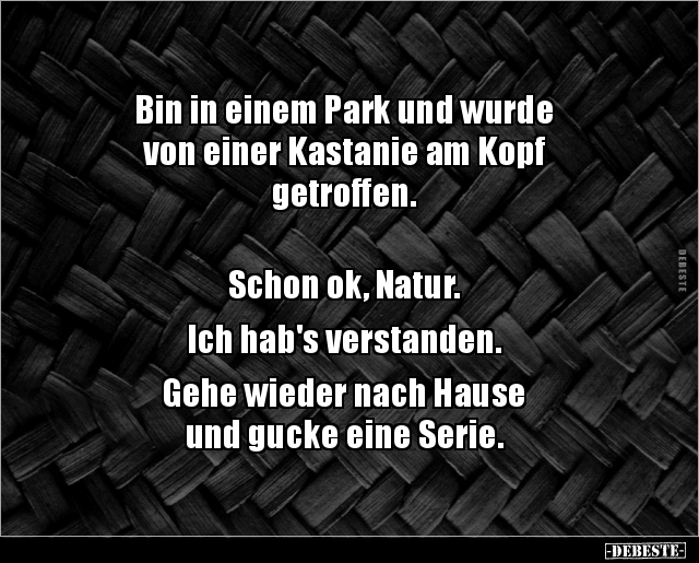 Bin in einem Park und wurde von einer Kastanie am Kopf.. - Lustige Bilder | DEBESTE.de