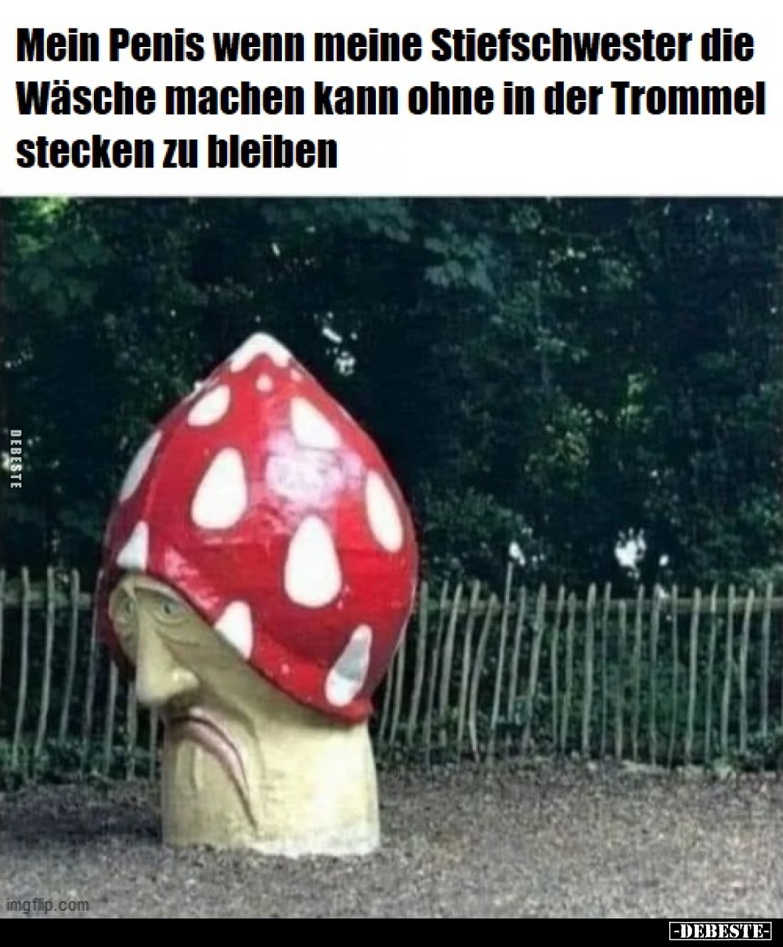 Mein P*enis wenn meine Stiefschwester die Wäsche machen kann ohne in der Trommel stecken zu bleiben