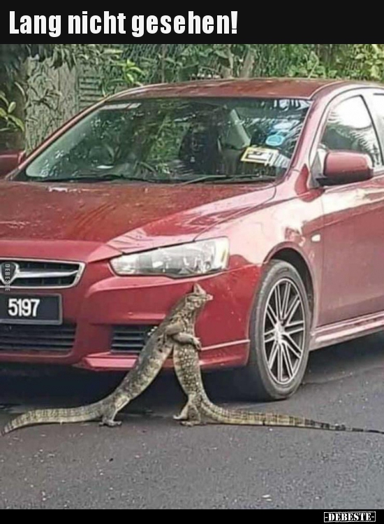 Lang nicht gesehen!..