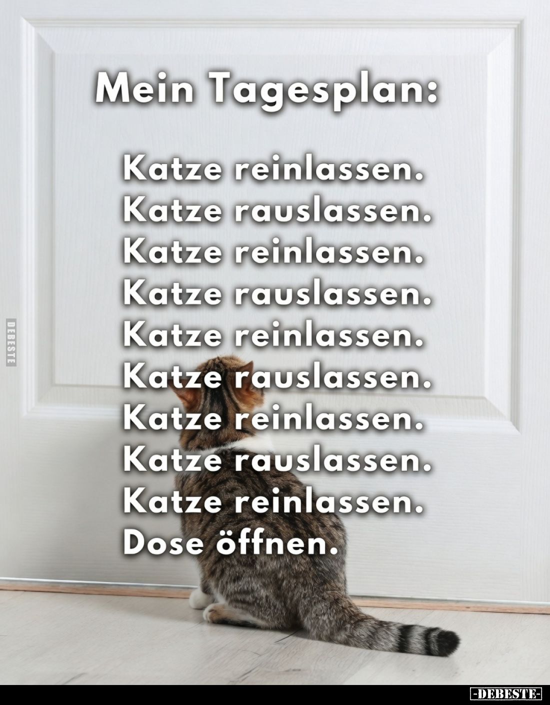 Mein Tagesplan:
Katze reinlassen.
Katze rauslassen.
Katze reinlassen.
Katze rauslassen.
Katze reinlassen.
Katze rauslas...