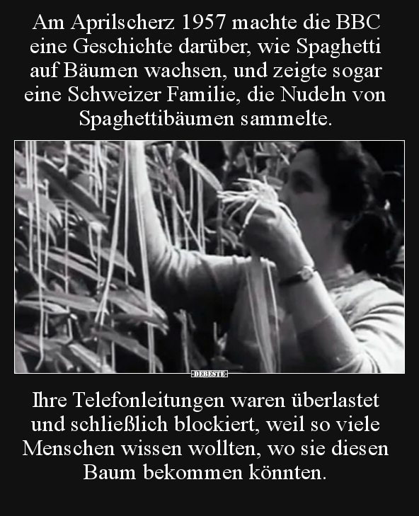 Am Aprilscherz 1957 machte die BBC eine Geschichte darüber.. - Lustige Bilder | DEBESTE.de
