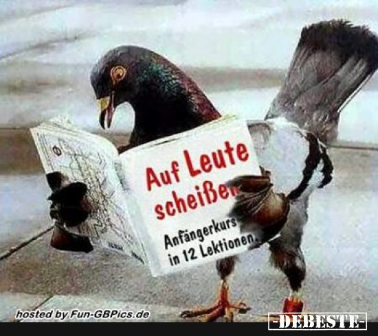 - Lustige Bilder | DEBESTE.de