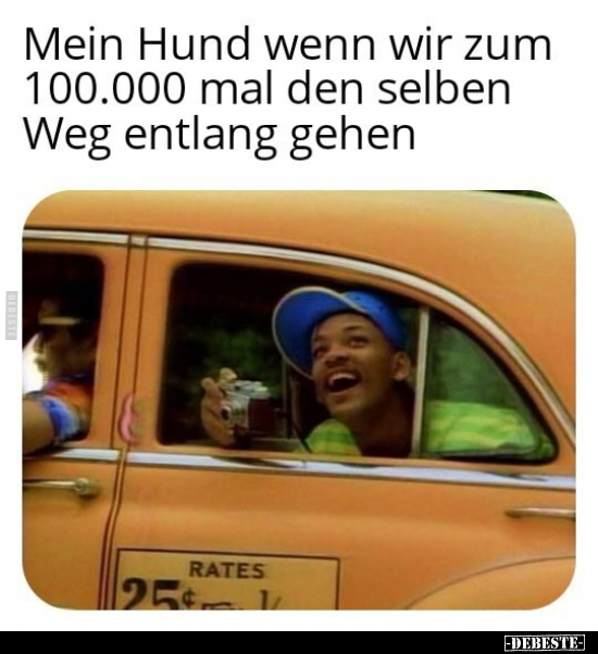 Mein Hund wenn wir zum 100.000 mal den selben Weg entlang gehen