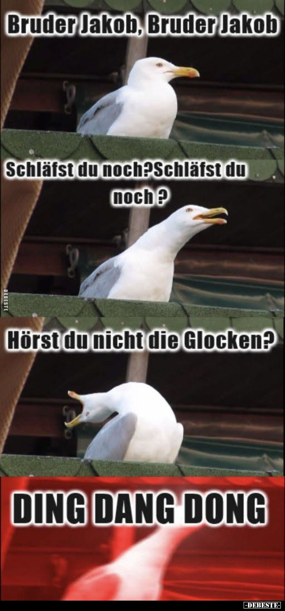 Bruder Jakob, Bruder Jakob.
Schläfst du noch? Schläfst du noch?
Hörst du nicht die Glocken?