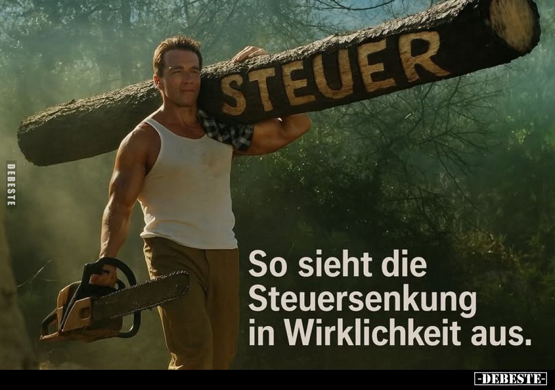 So sieht die Steuersenkung in Wirklichkeit aus.