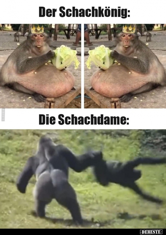 Der Schachkönig / Die Schachdame..