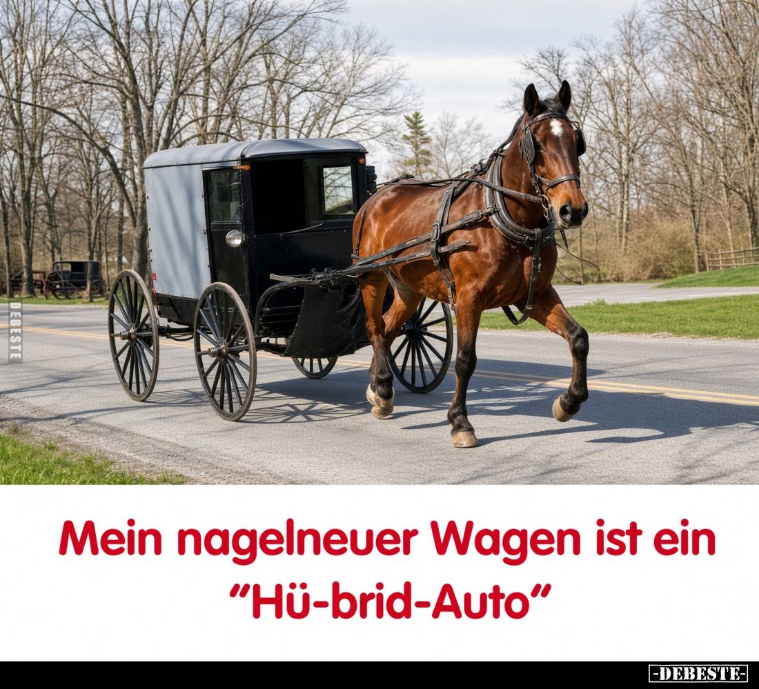 Mein nagelneuer Wagen ist ein
"Hü-brid-Auto".