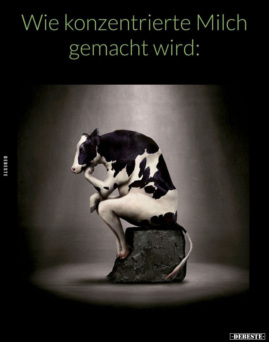 Wie konzentrierte Milch gemacht wird: