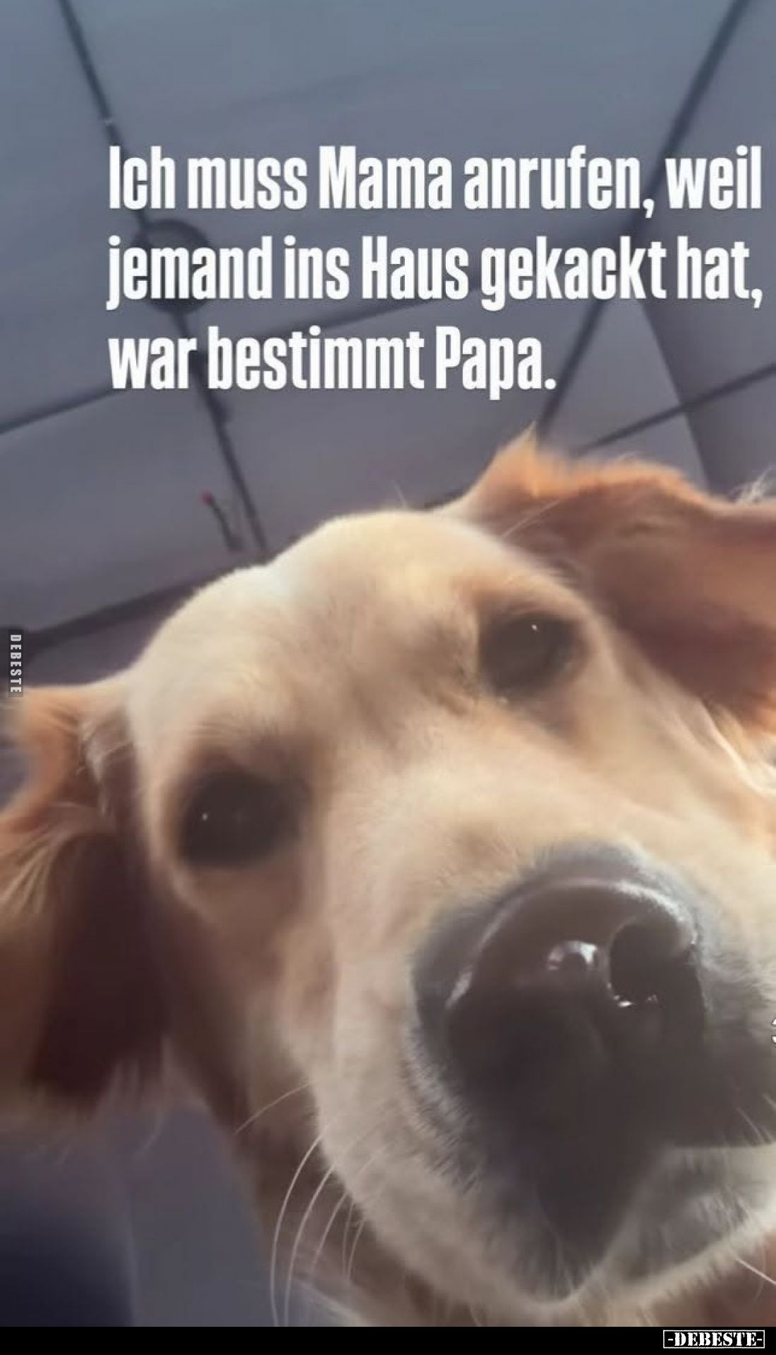 Ich muss Mama anrufen, weil
jemand ins Haus gekackt hat,
war bestimmt Papa.