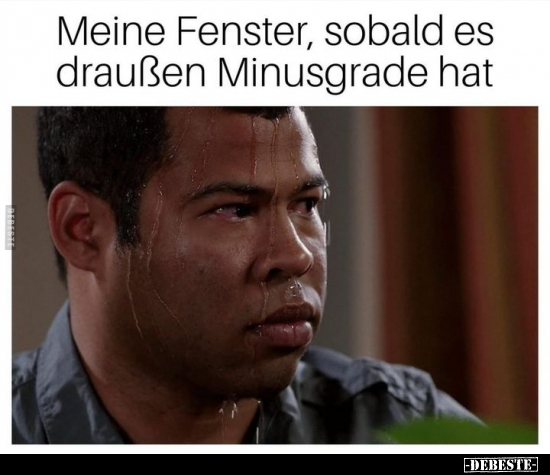 Meine Fenster, sobald es draußen Minusgrade hat... - Lustige Bilder | DEBESTE.de