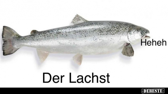 Der Lachst Heheh