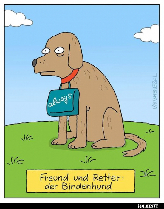 Freund und Retter: Der Bindenhund... - Lustige Bilder | DEBESTE.de