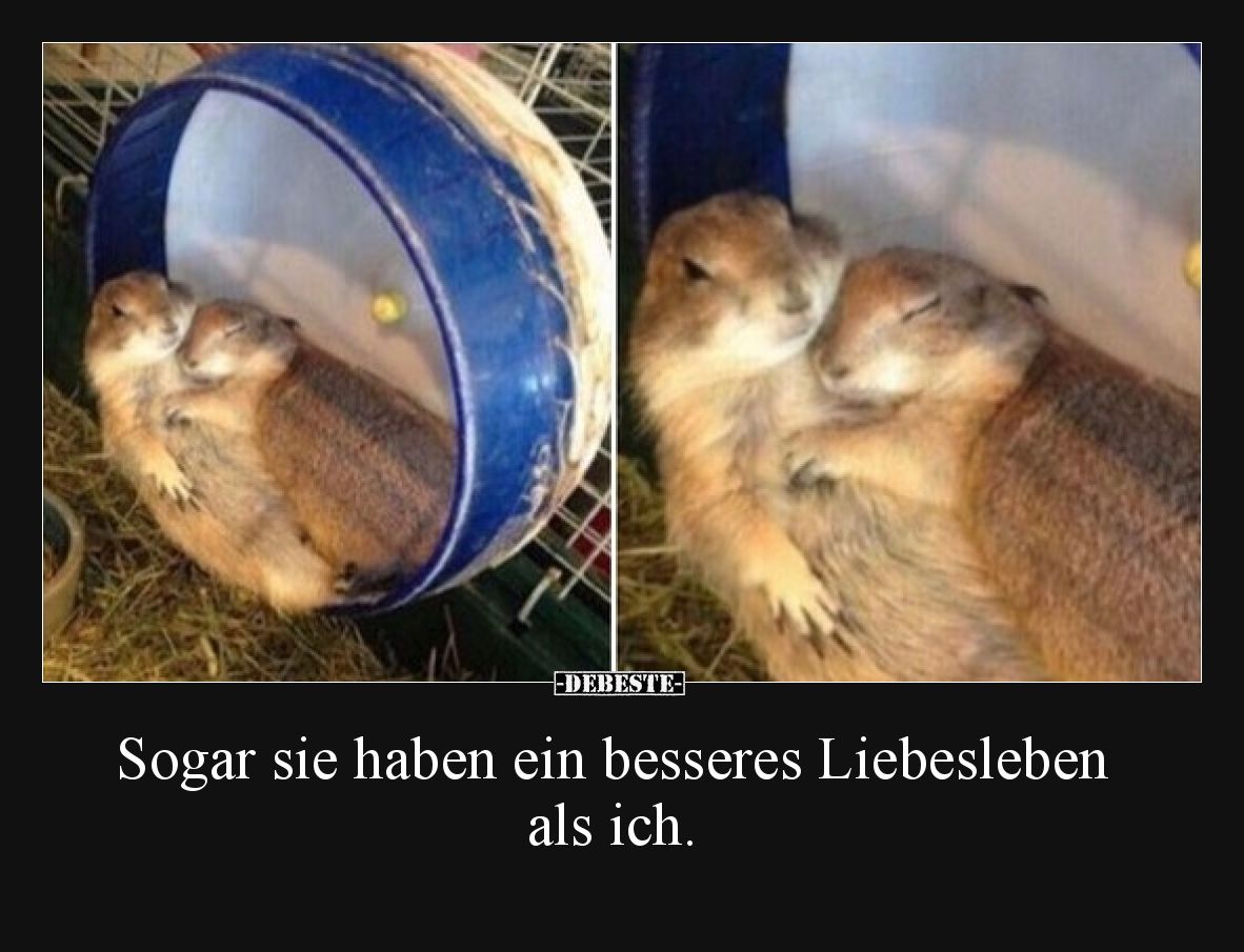 Sogar sie haben ein besseres Liebesleben als ich.