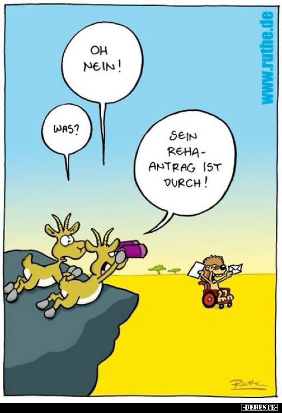 Oh nein!.. - Lustige Bilder | DEBESTE.de