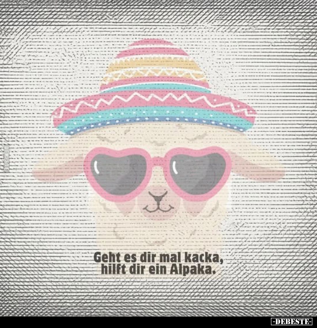 Geht es dir mal ka*cka, hilft dir ein Alpaka... - Lustige Bilder | DEBESTE.de
