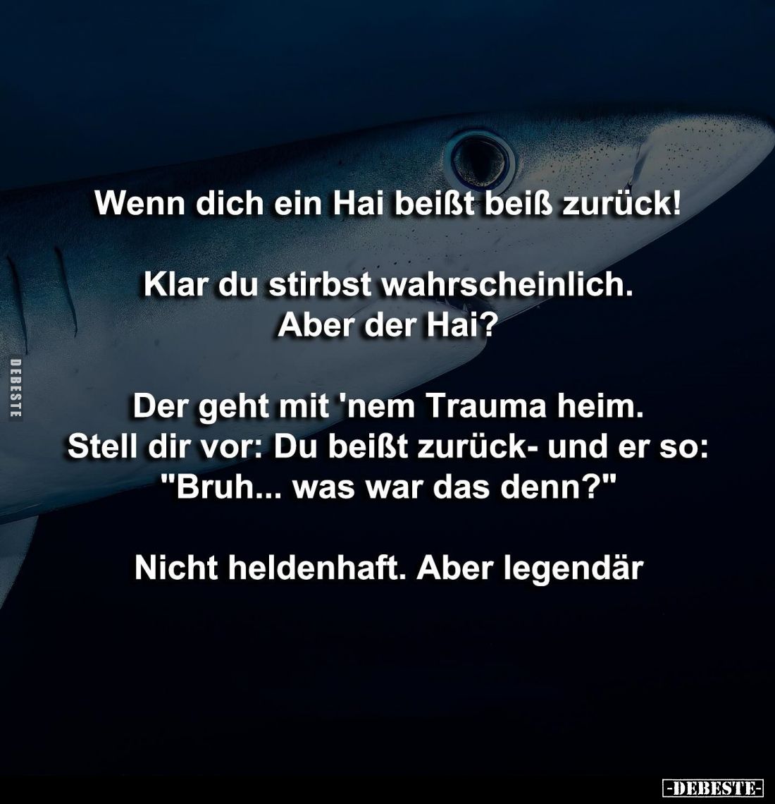 Wenn dich ein Hai beißt beiß zurück!
Klar du stirbst wahrscheinlich. Aber der Hai?
Der geht mit 'nem Trauma heim. Stell dir...