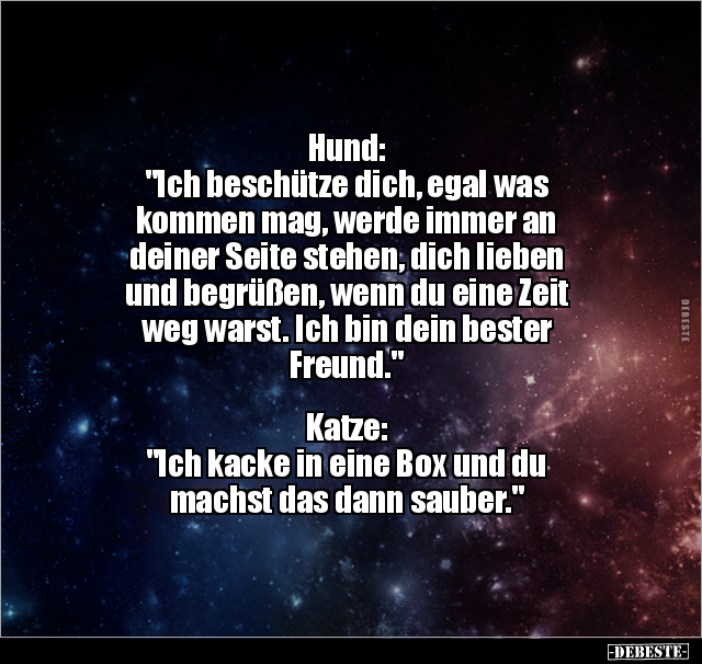 Hund: "Ich beschütze dich, egal was kommen mag, werde.." - Lustige Bilder | DEBESTE.de