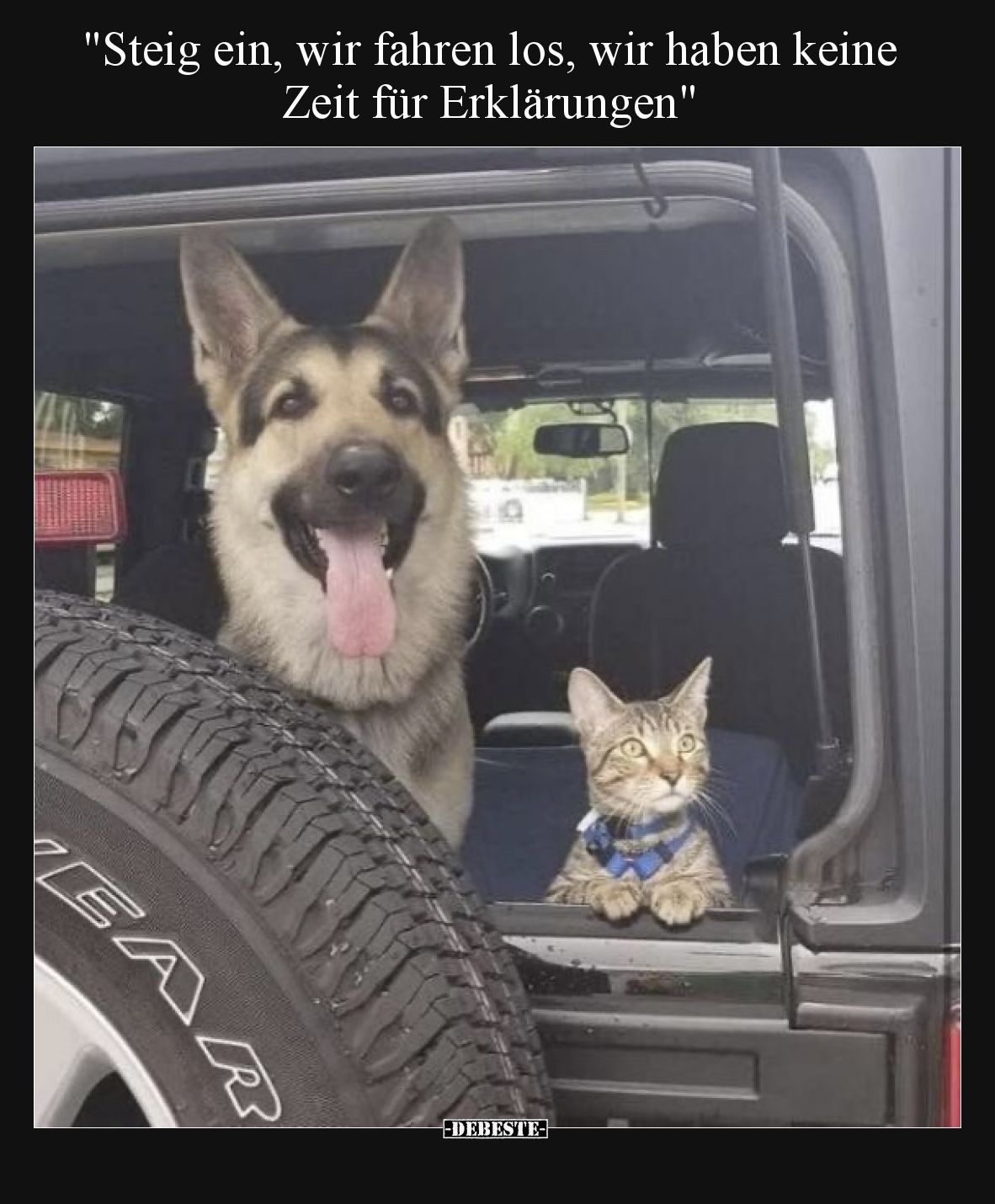 Steig ein, wir fahren los, wir haben keine Zeit für Erklärungen.