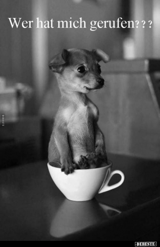 Wer hat mich gerufen?..