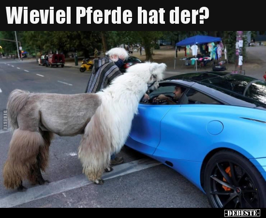 Wieviel Pferde hat der?..