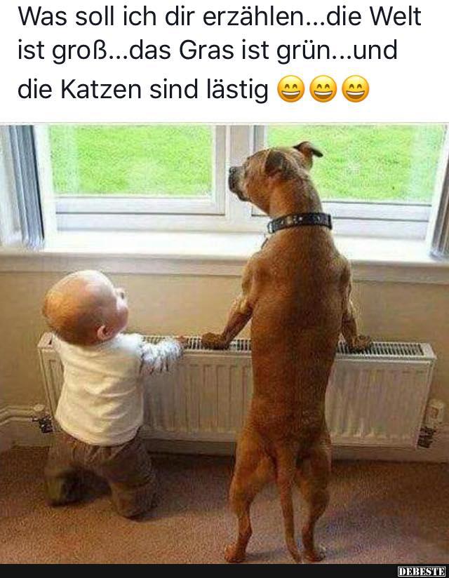 Was soll ich dir erzählen... die Welt ist groß... das Gras ist grün..