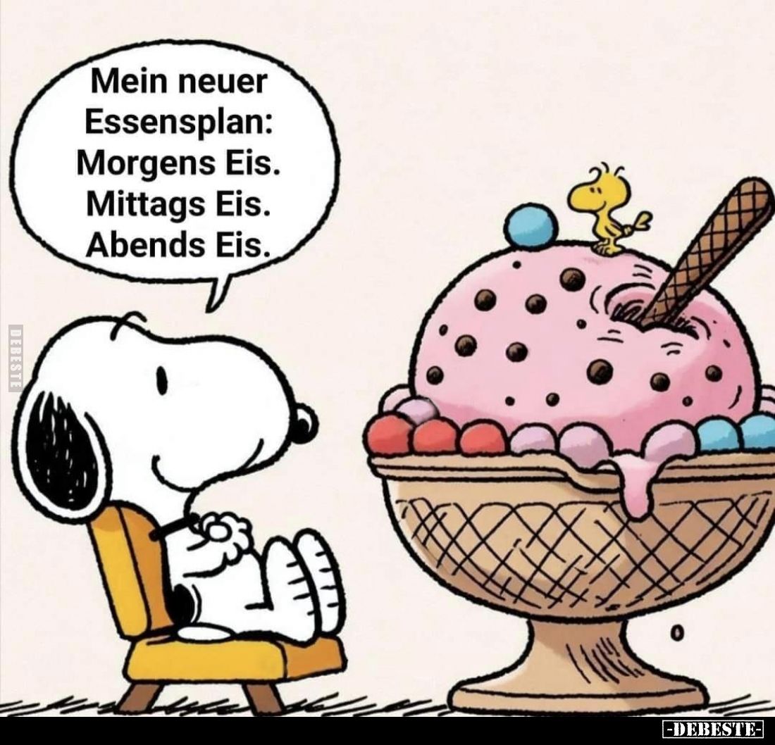 Mein neuer Essensplan: Morgens Eis. Mittags Eis. Abends Eis.