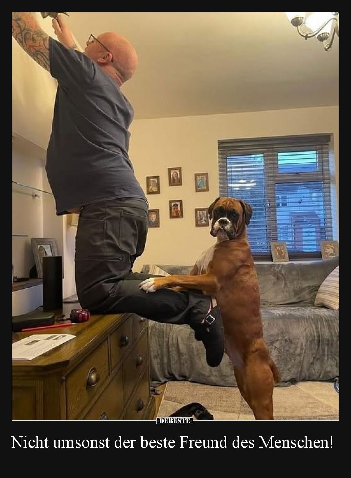 Nicht umsonst der beste Freund des Menschen!