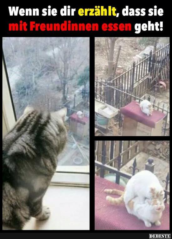 Wenn sie dir erzählt, dass sie mit..