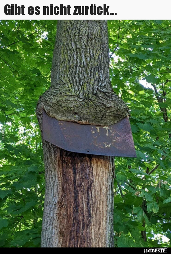 Gibt es nicht zurück...