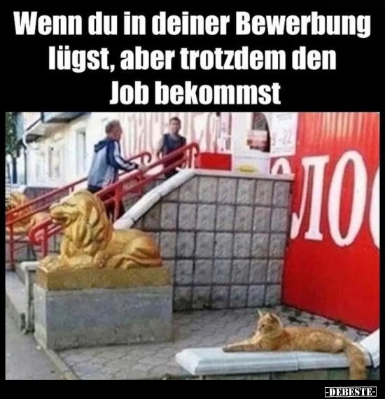 Wenn du in deiner Bewerbung lügst, aber trotzdem den Job.. - Lustige Bilder | DEBESTE.de