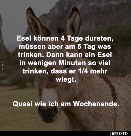 Esel können 4 Tage dursten.. - Lustige Bilder | DEBESTE.de