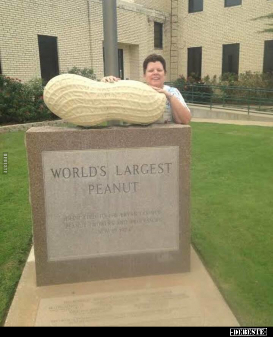 World's largest peanut