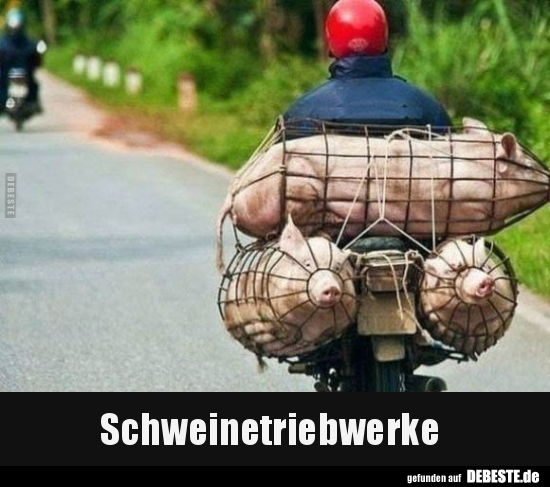 Schweinetriebwerke..