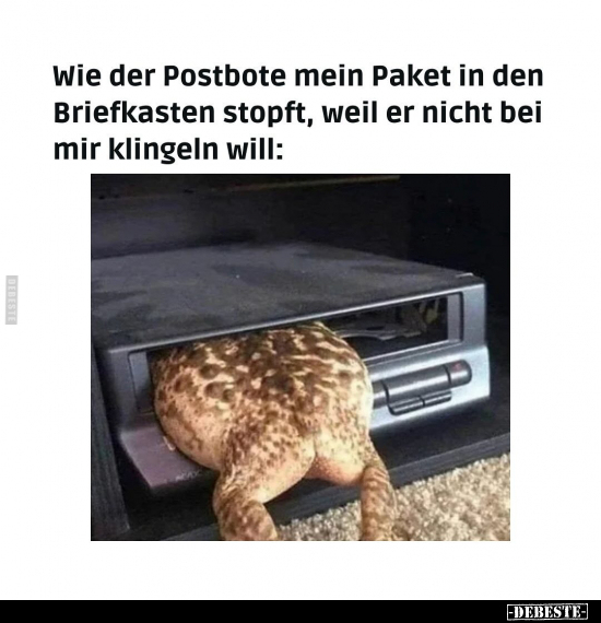 Wie der Postbote mein Paket in den Briefkasten stopft, weil.. - Lustige Bilder | DEBESTE.de