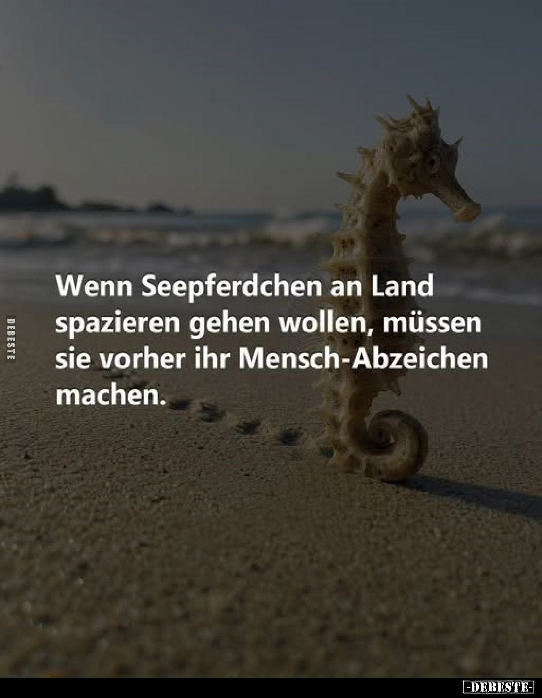 Wenn Seepferdchen an Land spazieren gehen wollen, müssen sie vorher ihr Mensch-Abzeichen machen.