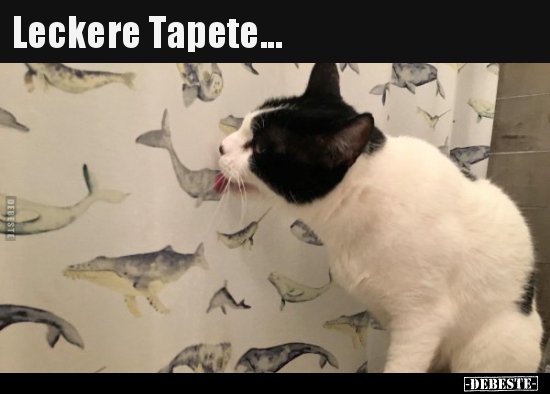 Leckere Tapete...