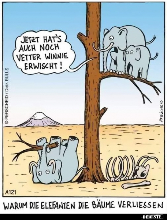 Warum die Elefanten die Bäume verliessen.. - Lustige Bilder | DEBESTE.de