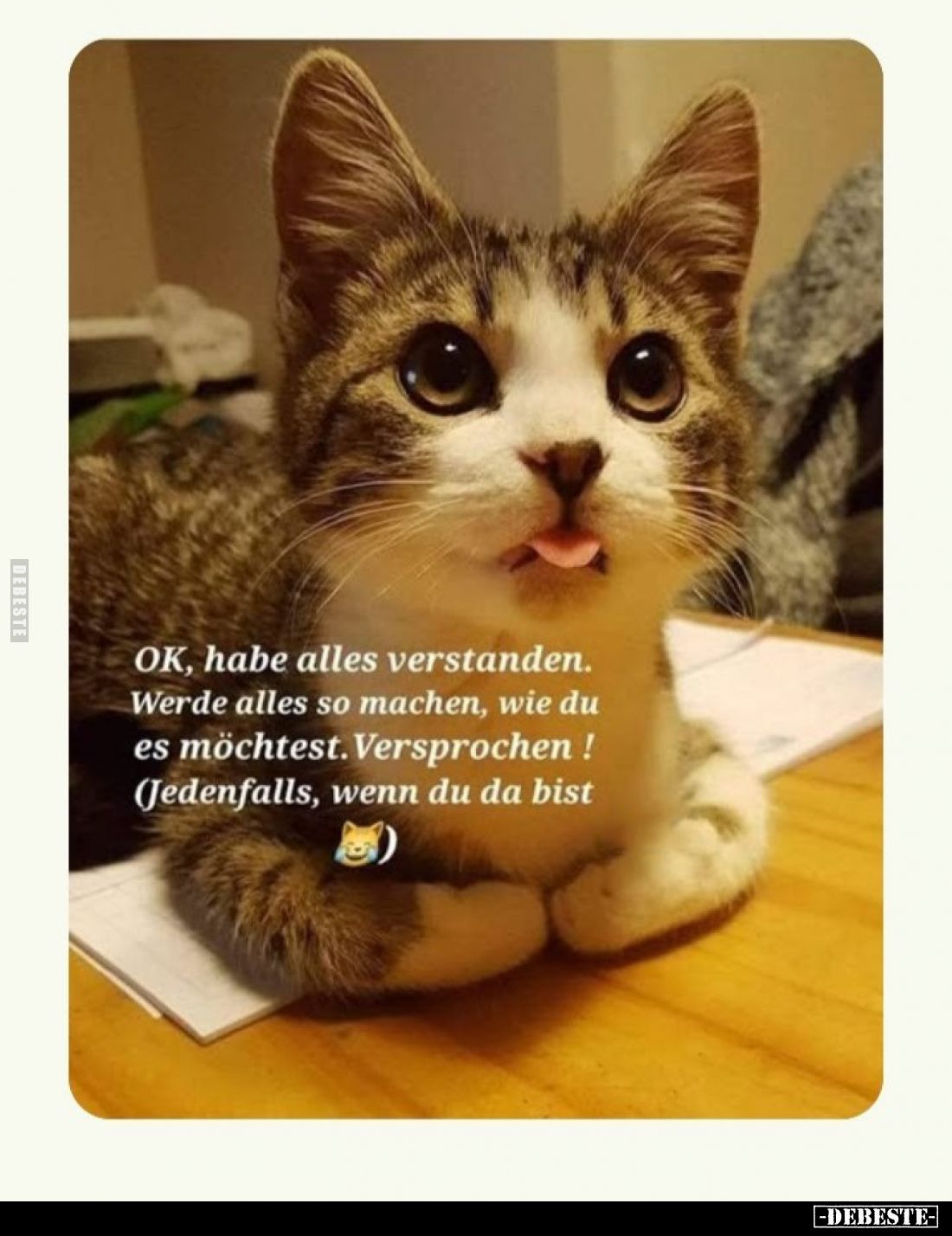 OK, habe alles verstanden. Werde alles so machen, wie du es möchtest. Versprochen! (Jedenfalls, wenn du da bist).