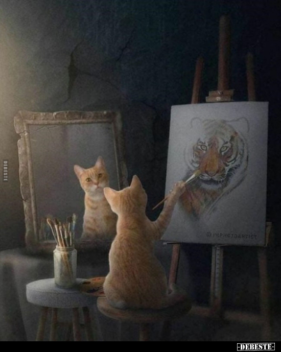  - Lustige Bilder | DEBESTE.de